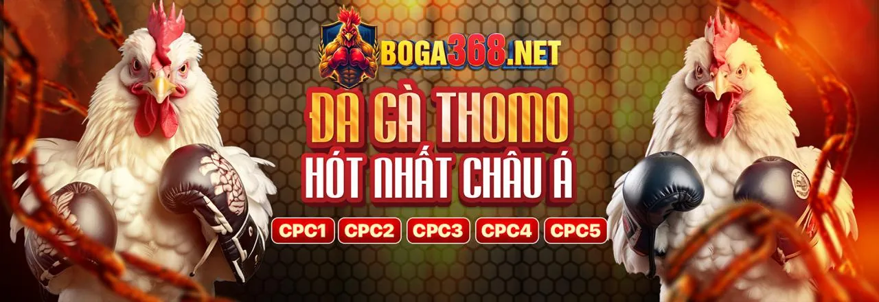 Sân đấu đá gà trực tuyến sôi động tại 78be bet